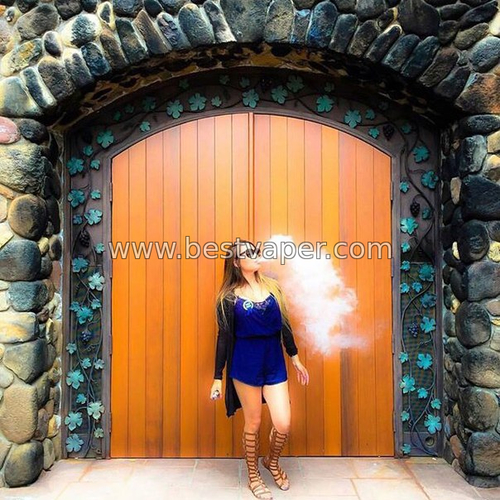 vapemodels, девушки, vape, вейп, электронные сигареты, в Украине, в Ки